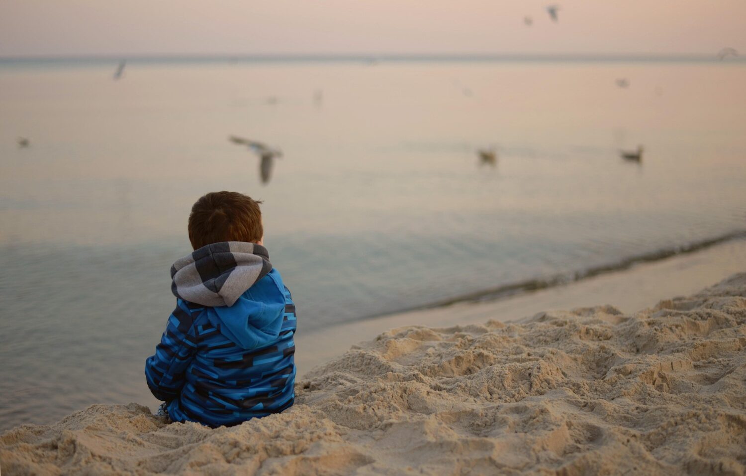 Child sits on beach, facing water with birds