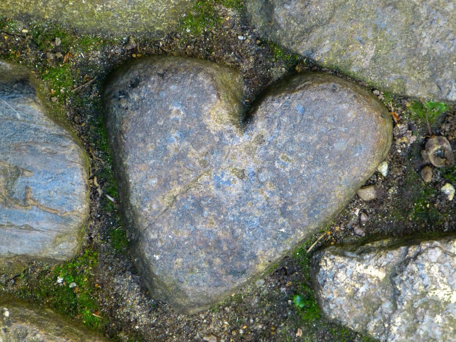 Heart-shaped rock in moss