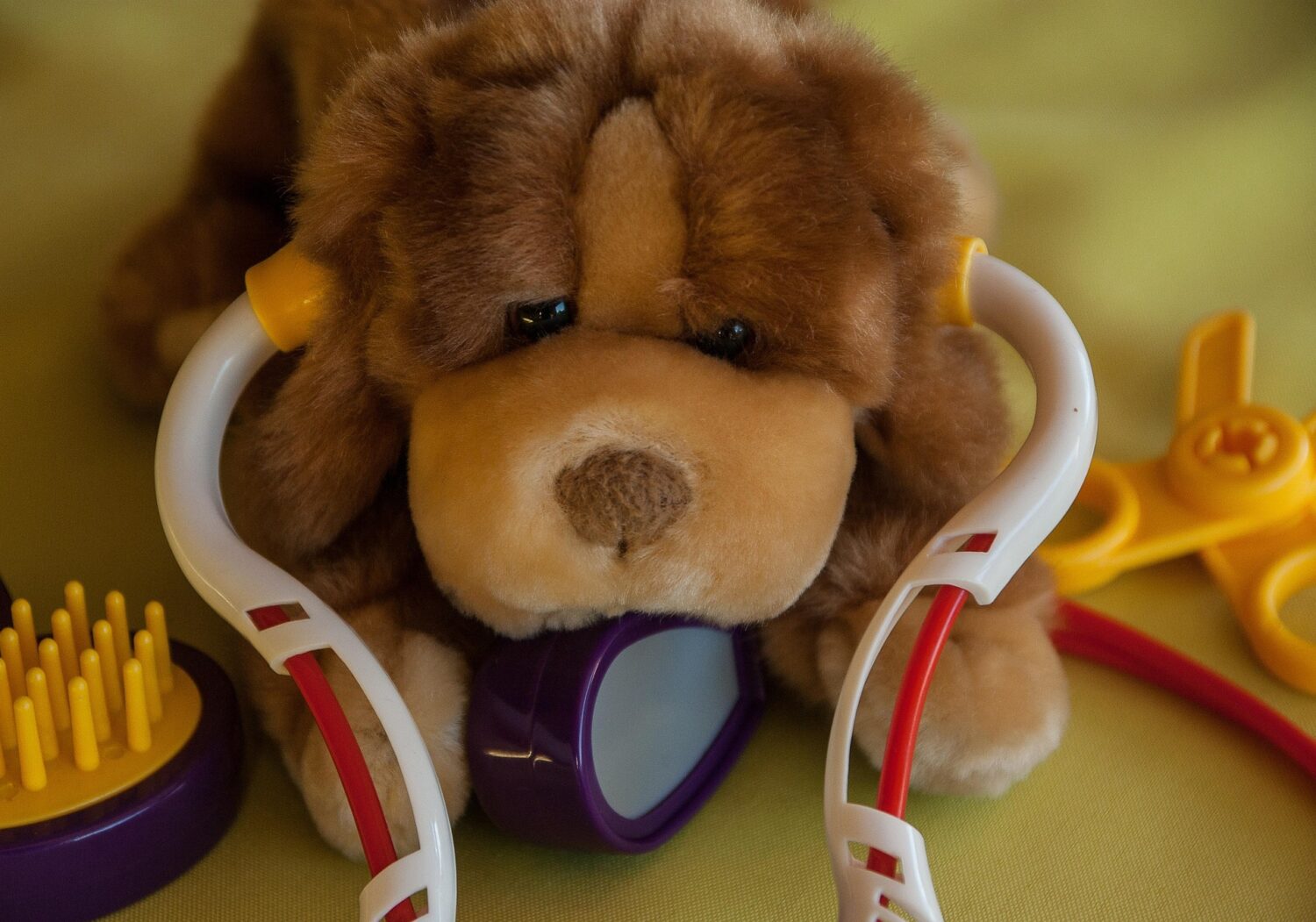 Stuffed animal with toy stethoscope