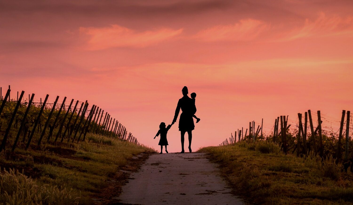 Photo of parent carrying baby and walking with toddler