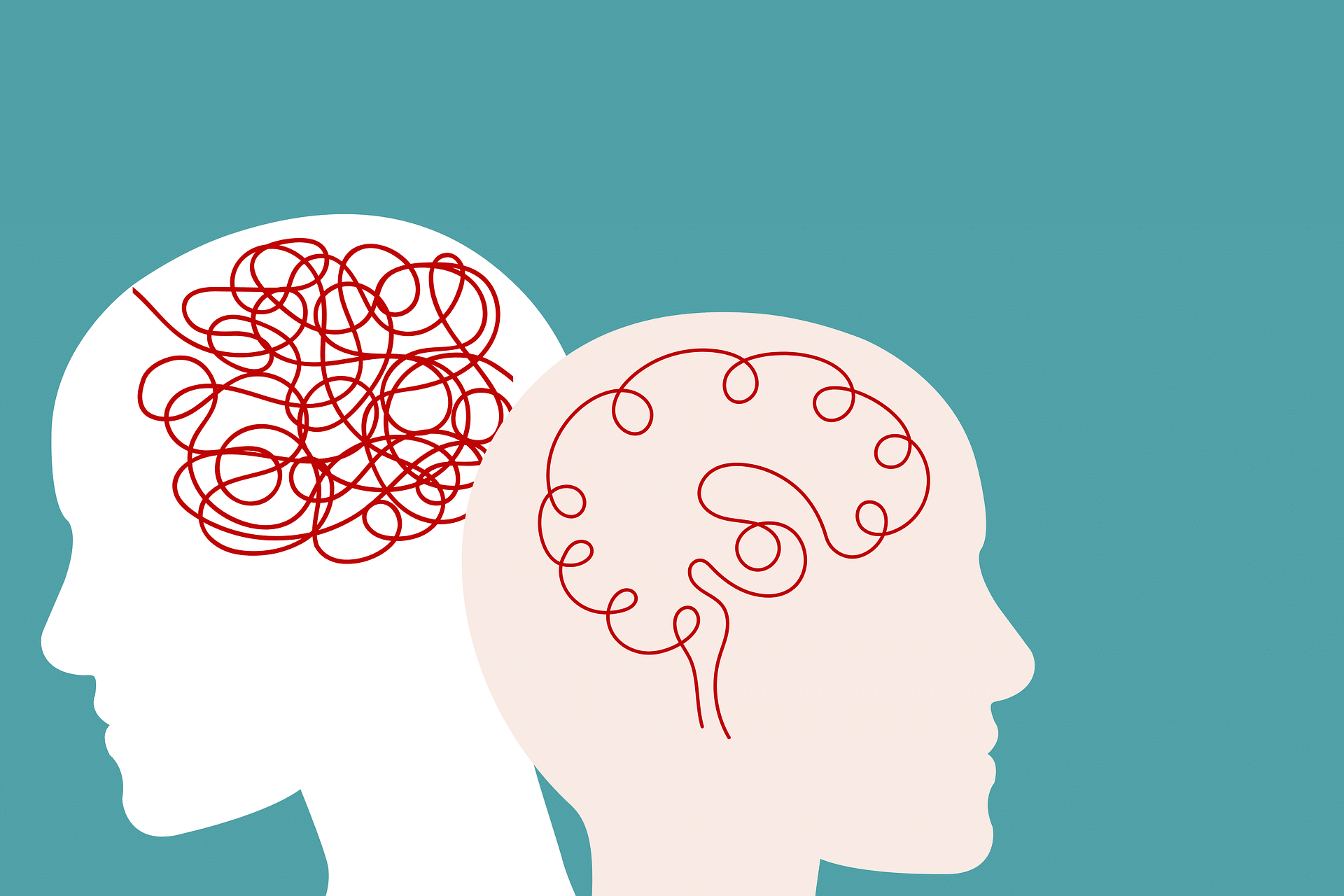 Illustration of two human heads with outlines of the brain