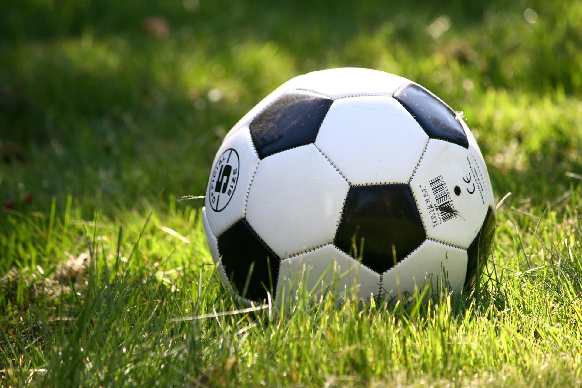 Close up of a soccer ball in grass